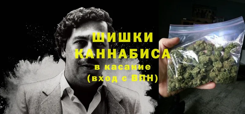 Конопля индика  закладки  Корсаков 